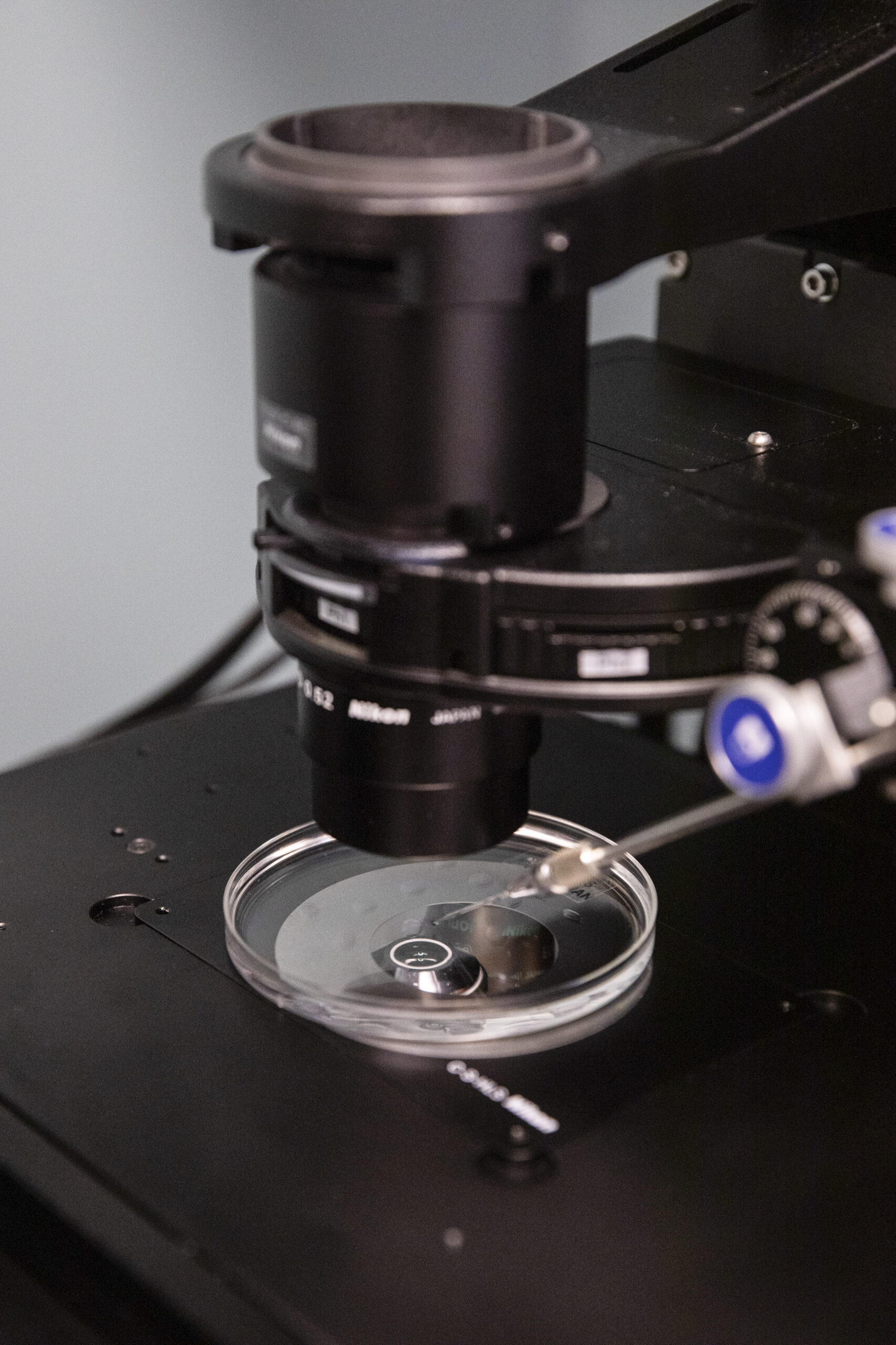 FILE -- A petri dish containing donated sperm at an IVF clinic in New York, Sept. 28, 2022. Scientists say the ability to fix disease-causing mutations in embryos would allow more to be implanted instead of discarded. (Jackie Molloy/The New York Times)