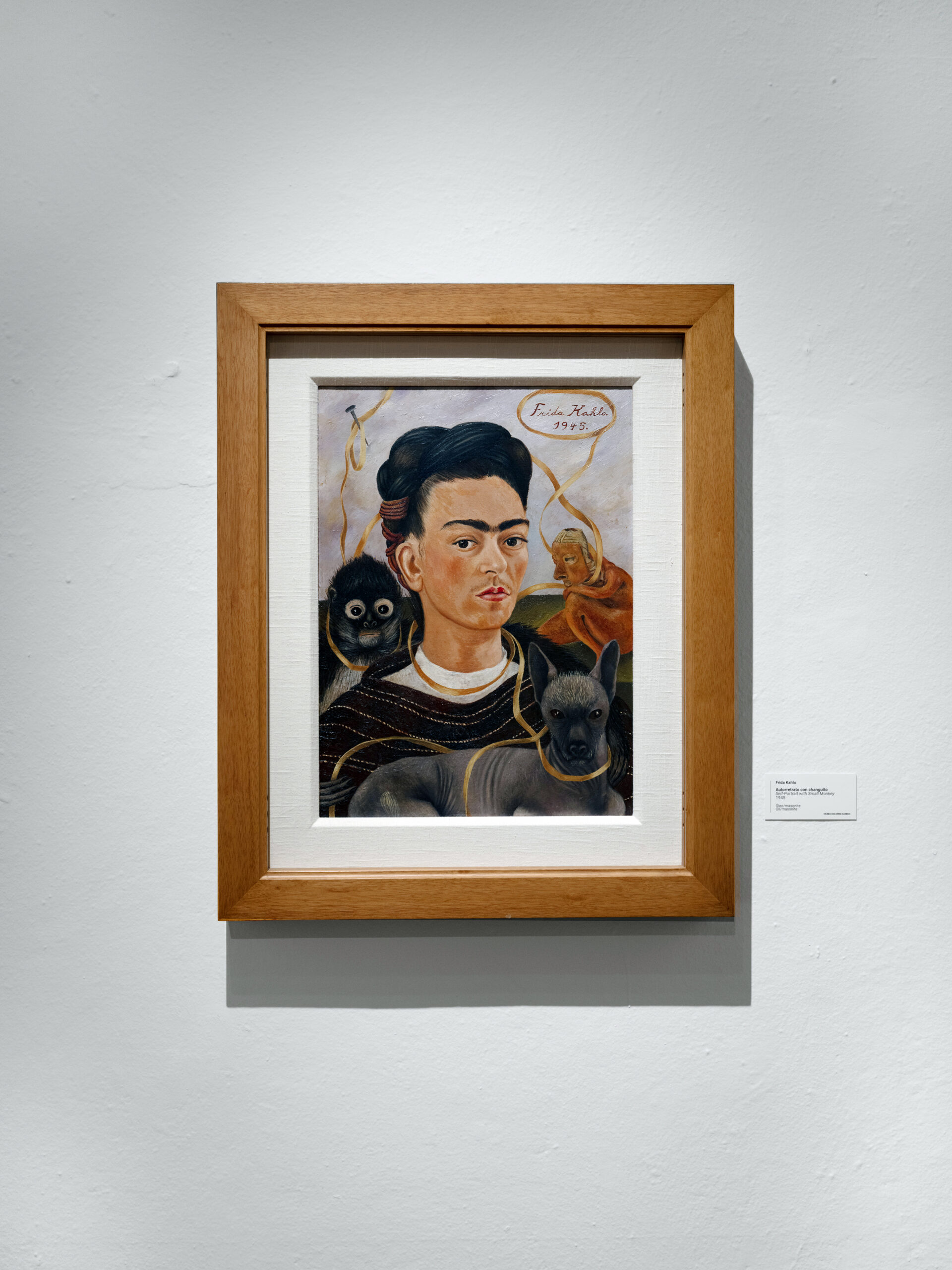 Frida Kahlo, "Autorretrato con Changuito (Self-Portrait With Monkey)," 1945, at the reopened Dolores Olmedo Museum in Mexico City on June 2, 2026. Diego Rivera's great patron Dolores Olmedo regarded Frida as a rival but bought 26 of her artworks, the largest collection. (Banco de México Diego Rivera Frida Kahlo Museums Trust, Mexico, D.F./Artists Rights Society (ARS), New York/Pablo Lopez Luz for The New York Times) -- NO SALES; FOR EDITORIAL USE ONLY WITH NYT STORY MEXICO MUSEUM KAHLO BY VICTORIA BURNETT FOR JUNE 9, 2026. ALL OTHER USE PROHIBITED. -- MANDATORY CREDIT: BANCO DE MÉXICO DIEGO RIVERA FRIDA KAHLO MUSEUMS TRUST, MEXICO, D.F./ARTISTS RIGHTS SOCIETY (ARS), NEW YORK/PABLO LOPEZ LUZ FOR THE NEW YORK TIMES) --