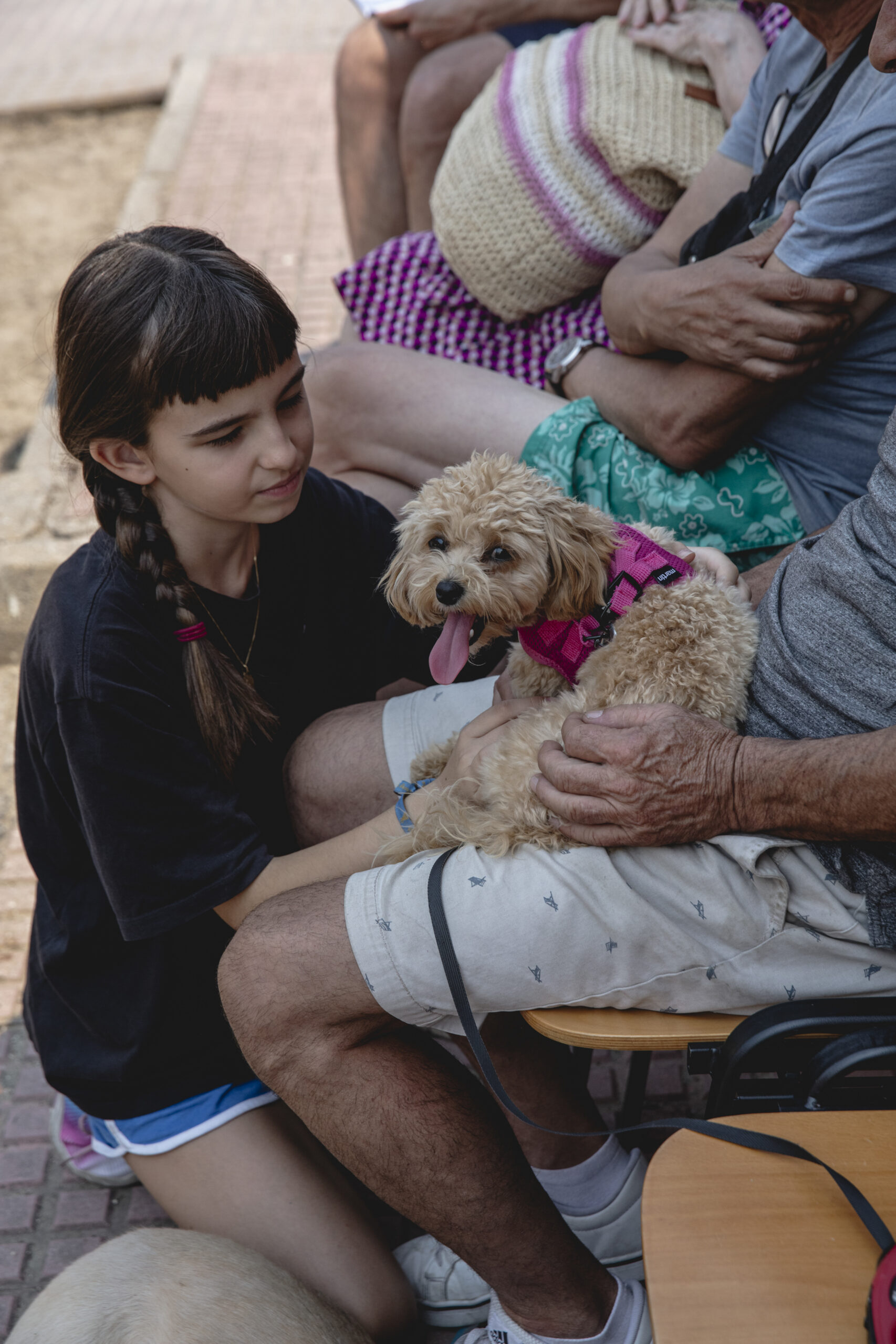 A child comforts a dog outside an evacuation center in Villamanta, Spain, a town southwest of Madrid, July 26, 2026. Madrid is booming, culturally and economically, but the wildfires raging within a short drive of the capital have provided a reality check. (Joseph Fox/The New York Times)